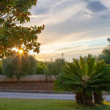 La Volpina Bed & Breakfast Martina Franca Bagian luar foto
